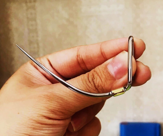 Cựa gà nòi 60 lai 50 thép mỹ