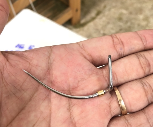 Cựa gà tre gọng việt lai thông kim thép Mỹ