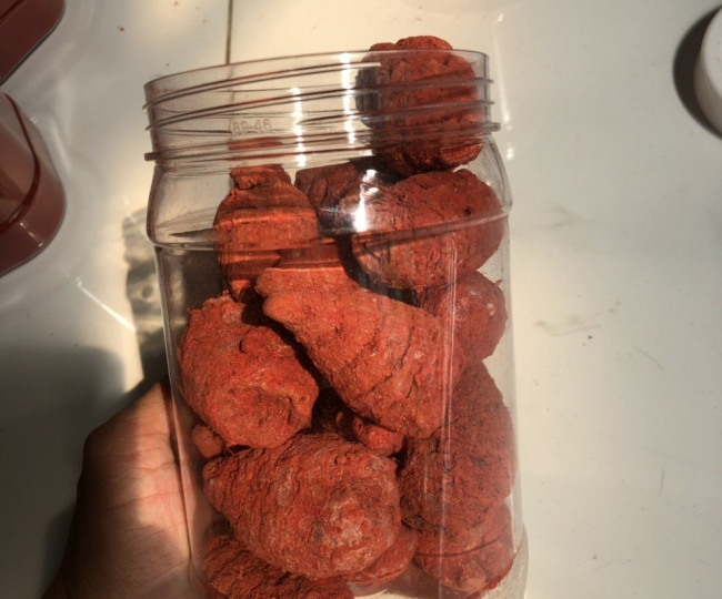 Nghệ đỏ xà cừ nguyên củ 1 hủ 0.5kg - 130k